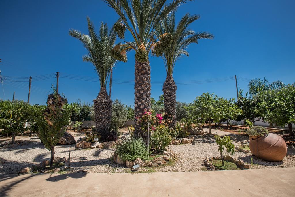 Papas Family Villa Paralimni Bagian luar foto